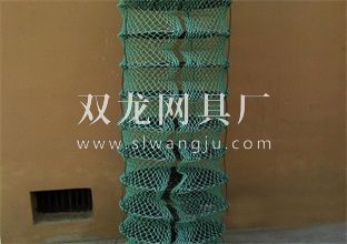 扇贝笼养殖各种扇贝的养成流程(图1)