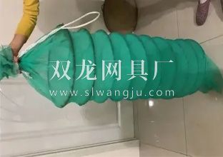 海参笼生态育苗质量优于室内苗(图1)